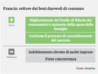 Francia: Settore Beni Durevoli di Consumo - Swot