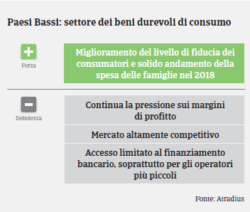 Paesi Bassi: Settore Beni Durevoli di Consumo - Swot